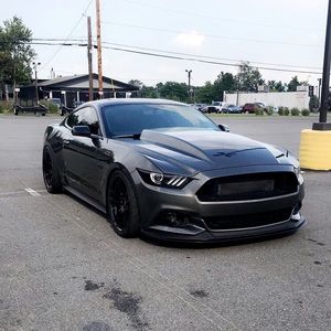 Meet your Posher, Cody